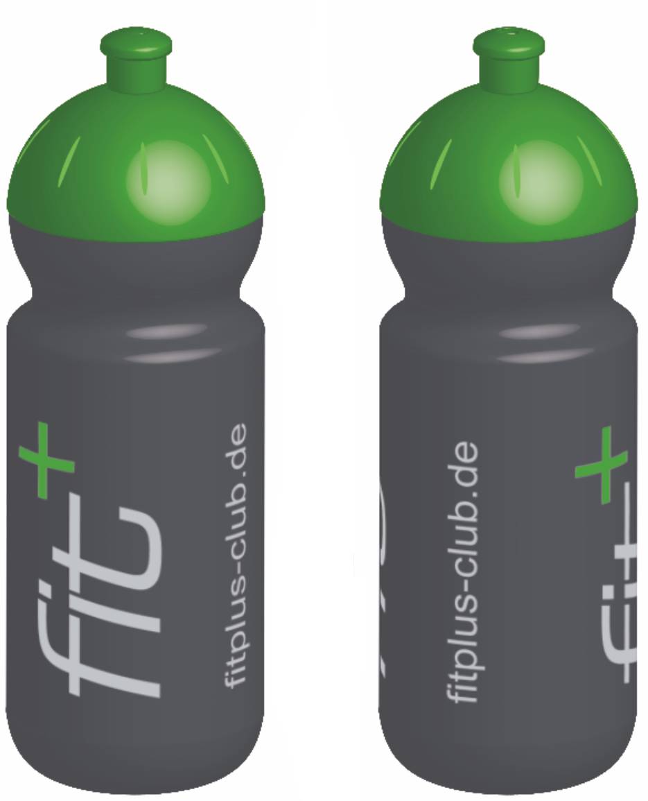 Trinkflaschen 500ml Fit+ VE